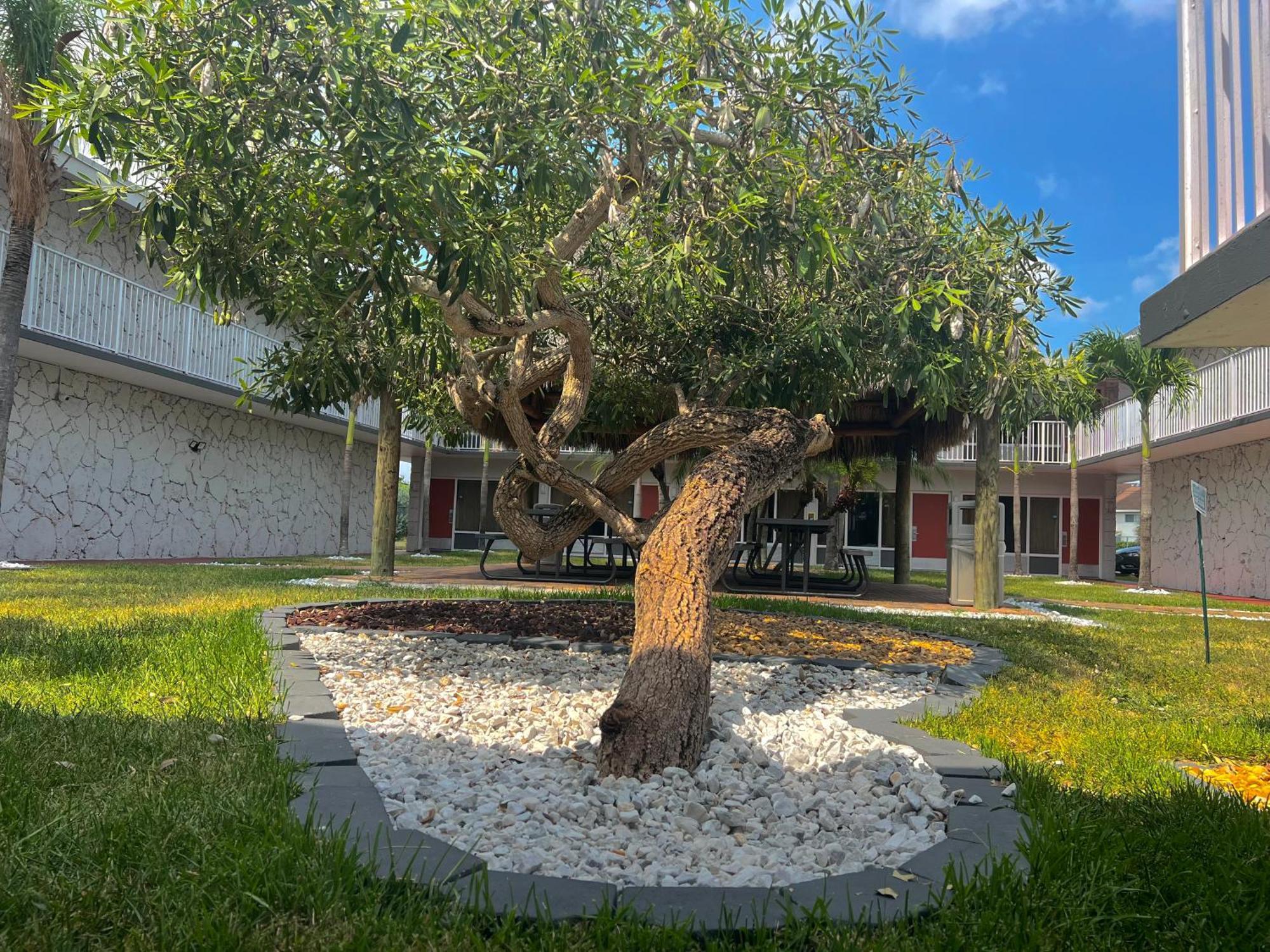 Garden Inn Homestead/Everglades/Gateway To Keys Εξωτερικό φωτογραφία